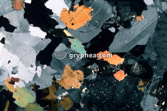 Granite LPA x3 - gryphea.com